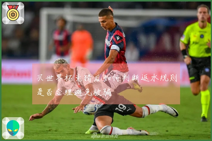 买世界杯竞猜后如何判断返水规则是否合理避免被骗