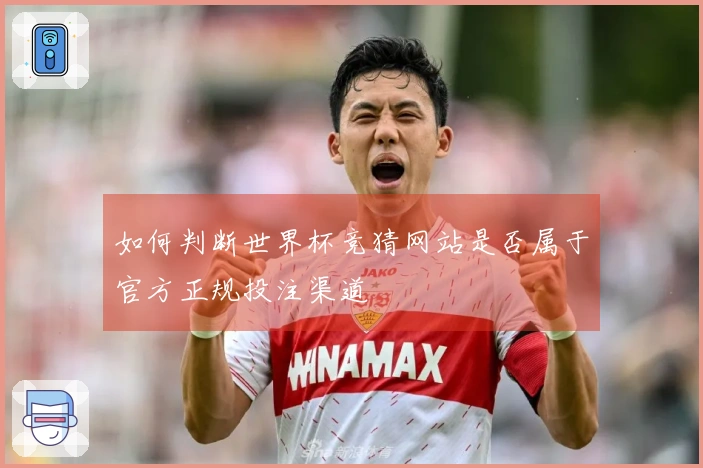 如何判断世界杯竞猜网站是否属于官方正规投注渠道