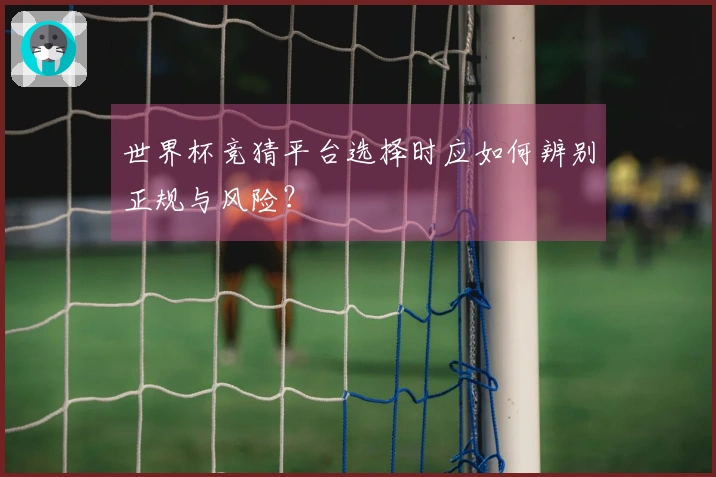 世界杯竞猜平台选择时应如何辨别正规与风险？