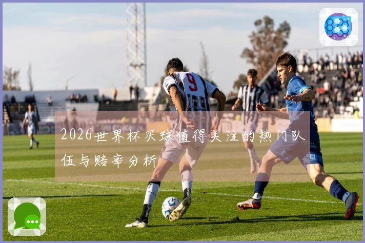 2026世界杯买球值得关注的热门队伍与赔率分析