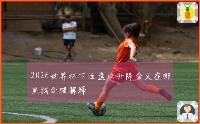 2026世界杯下注盘口升降含义在哪里找合理解释