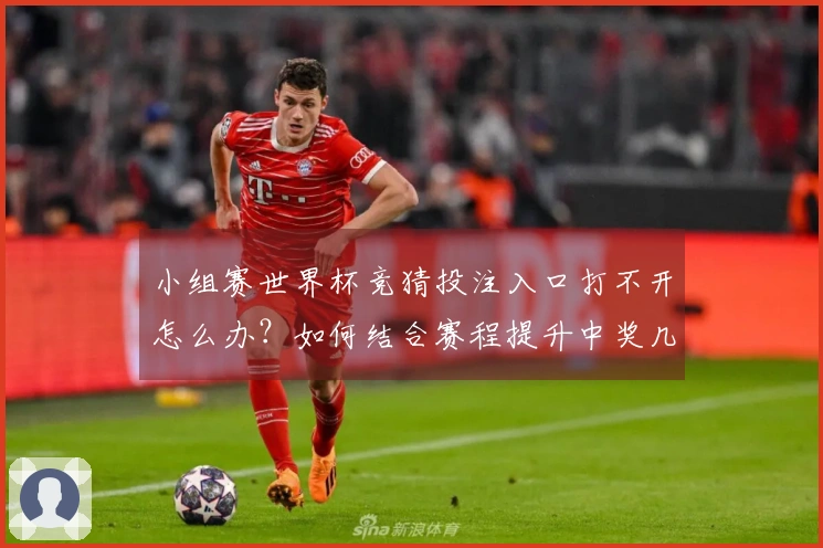 小组赛世界杯竞猜投注入口打不开怎么办？如何结合赛程提升中奖几率