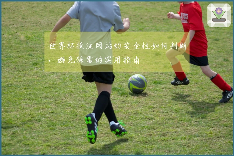 世界杯投注网站的安全性如何判断，避免踩雷的实用指南