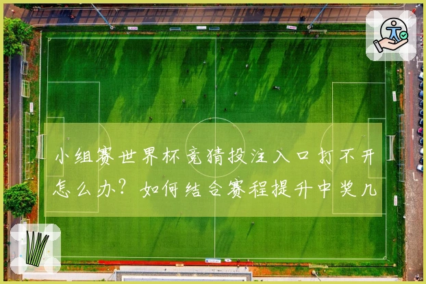 小组赛世界杯竞猜投注入口打不开怎么办？如何结合赛程提升中奖几率