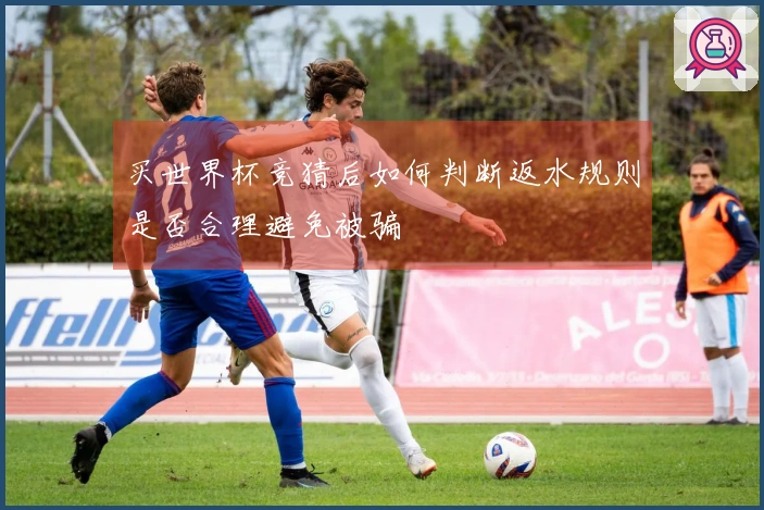 买世界杯竞猜后如何判断返水规则是否合理避免被骗