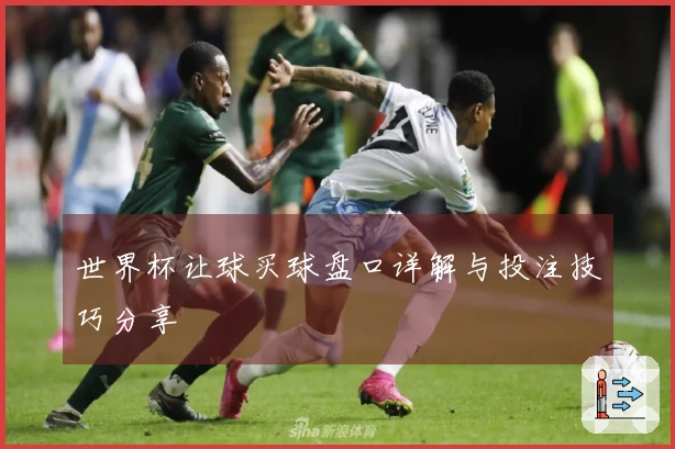 世界杯让球买球盘口详解与投注技巧分享