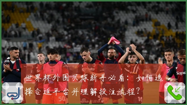 世界杯外围买球新手必看：如何选择合适平台并理解投注流程？