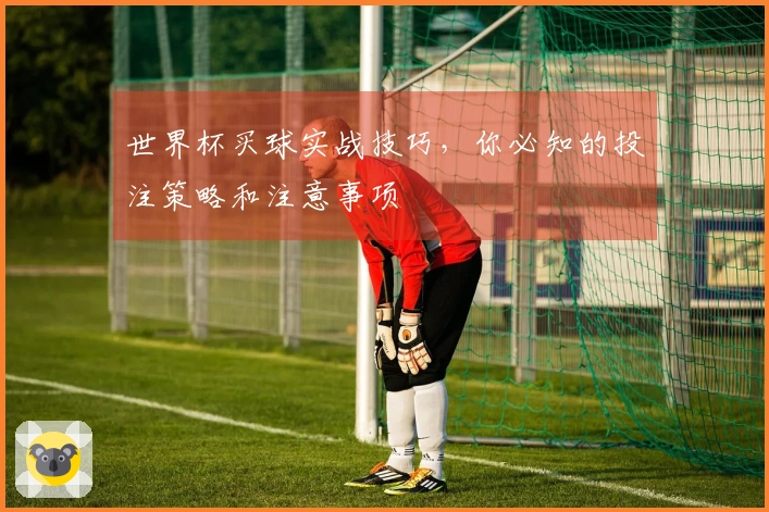 世界杯买球实战技巧，你必知的投注策略和注意事项