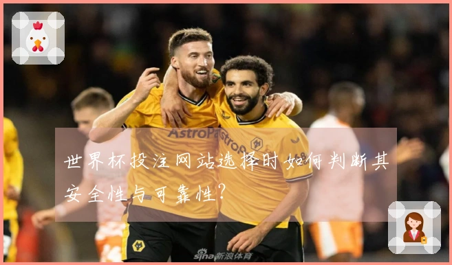 世界杯投注网站选择时如何判断其安全性与可靠性？