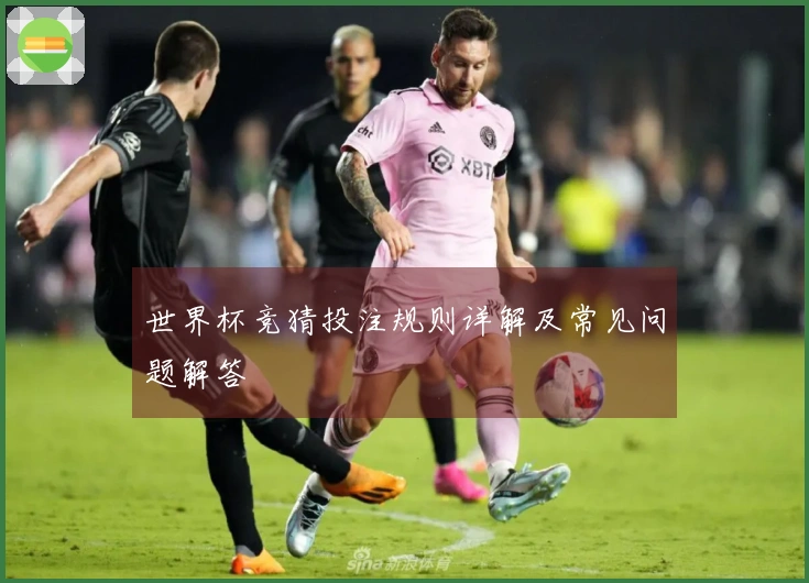 世界杯竞猜投注规则详解及常见问题解答