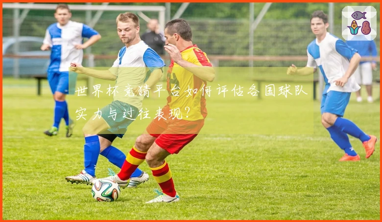 世界杯竞猜平台如何评估各国球队实力与过往表现?