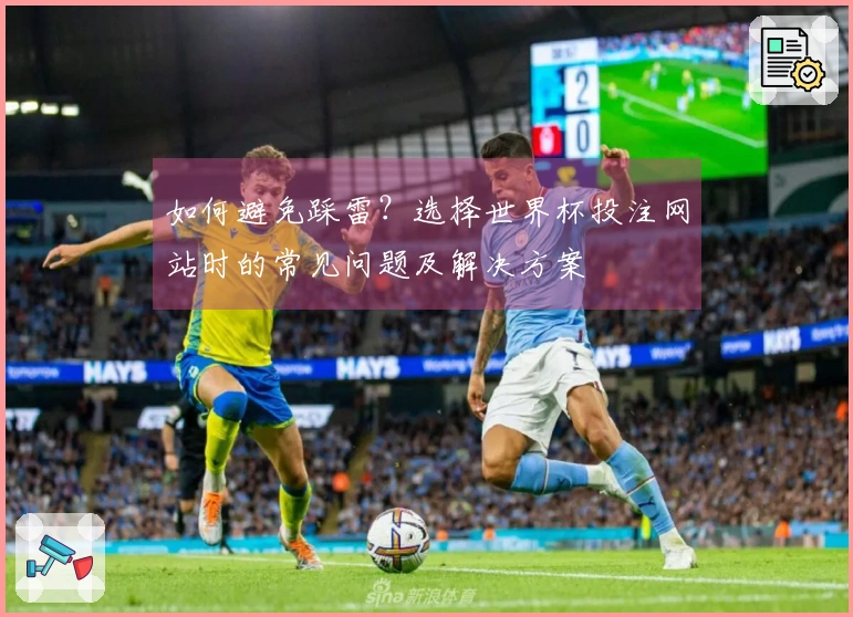如何避免踩雷？选择世界杯投注网站时的常见问题及解决方案