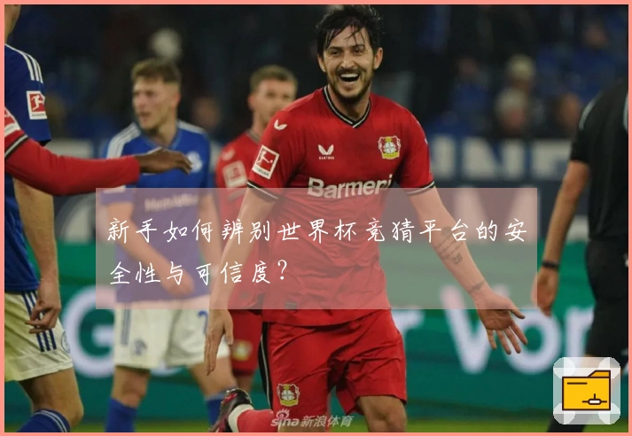 新手如何辨别世界杯竞猜平台的安全性与可信度？