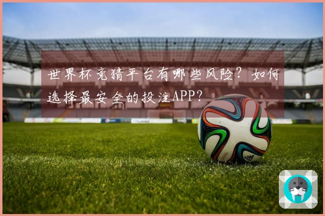 世界杯竞猜平台有哪些风险？如何选择最安全的投注APP？