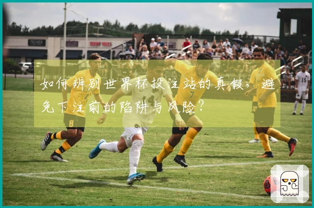 如何辨别世界杯投注站的真假，避免下注前的陷阱与风险？