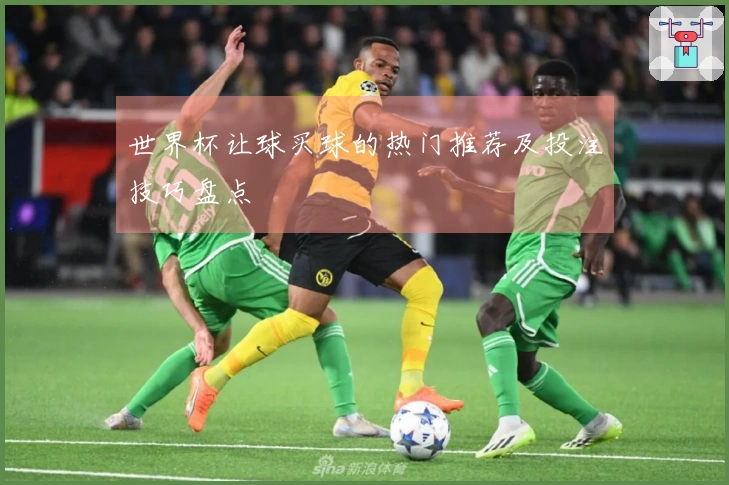 世界杯让球买球的热门推荐及投注技巧盘点