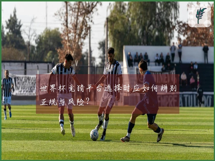 世界杯竞猜平台选择时应如何辨别正规与风险？