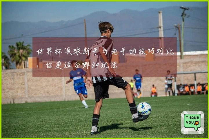 世界杯滚球新手与老手的技巧对比,你更适合哪种玩法