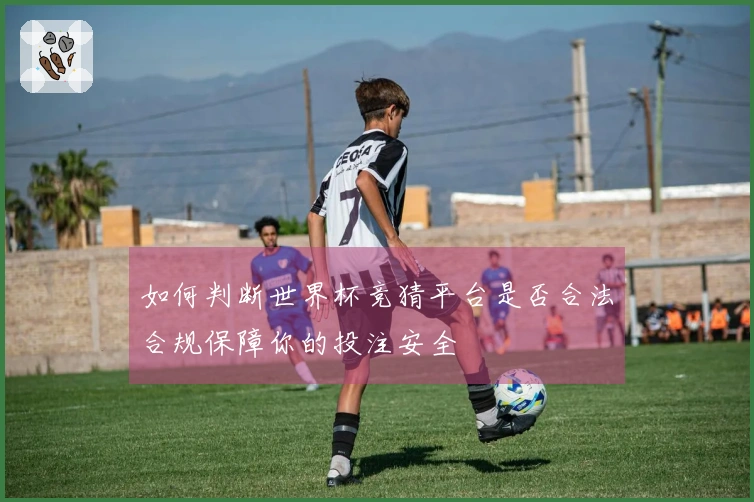 如何判断世界杯竞猜平台是否合法合规保障你的投注安全