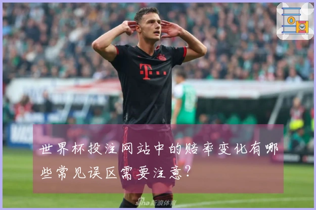 世界杯投注网站中的赔率变化有哪些常见误区需要注意？