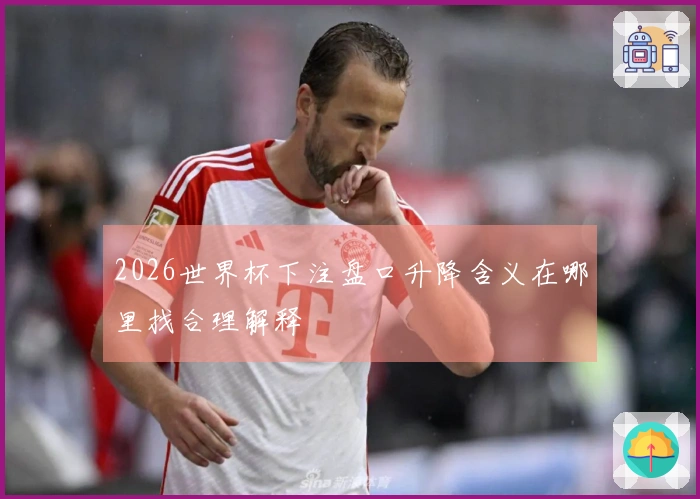 2026世界杯下注盘口升降含义在哪里找合理解释