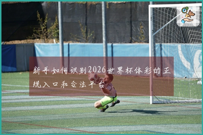 新手如何识别2026世界杯体彩的正规入口和合法平台