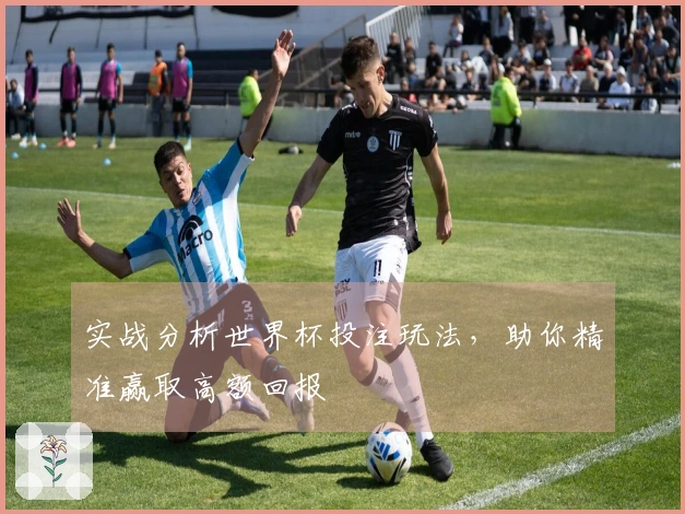 实战分析世界杯投注玩法，助你精准赢取高额回报