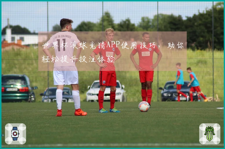 世界杯滚球竞猜APP使用技巧，助你轻松提升投注体验