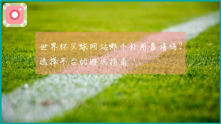 世界杯买球网站哪个好用靠谱吗？选择平台的避坑指南