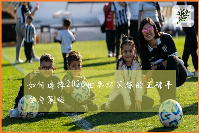 如何选择2026世界杯买球的正确平台与策略