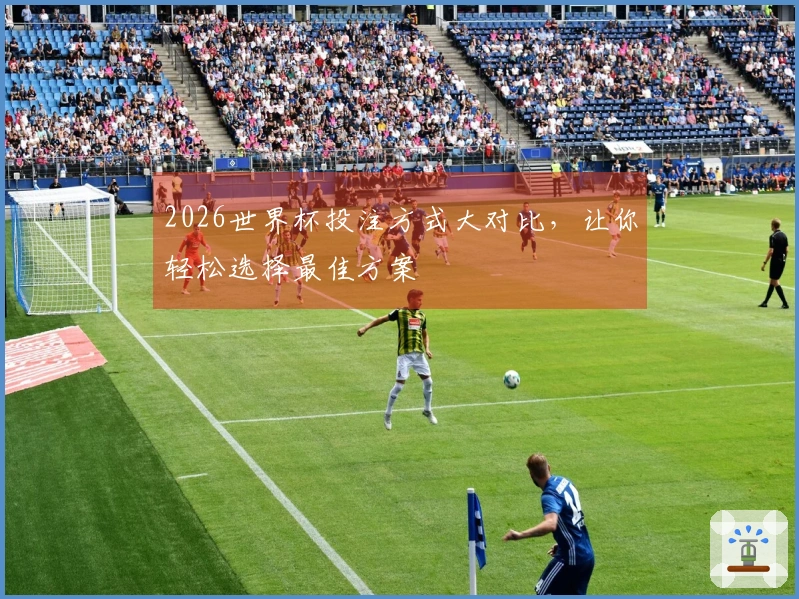 2026世界杯投注方式大对比，让你轻松选择最佳方案