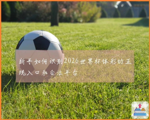 新手如何识别2026世界杯体彩的正规入口和合法平台